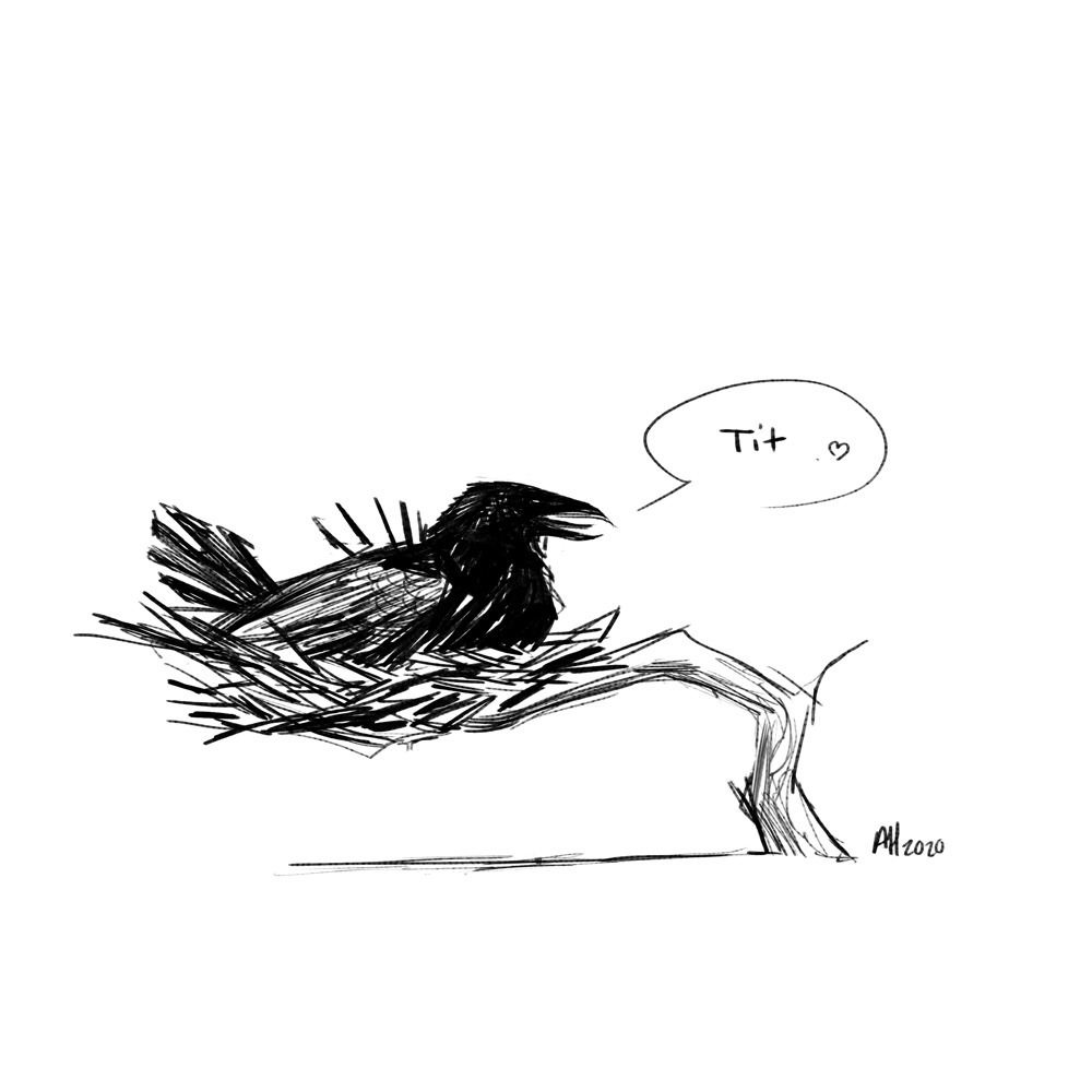 Предсказание от черного ворона пессимиста 9 букв. Ругательства птицей. Письмо от ворона.