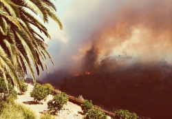 jacammope:  Yeah wildfires. Killing it with your steeze.