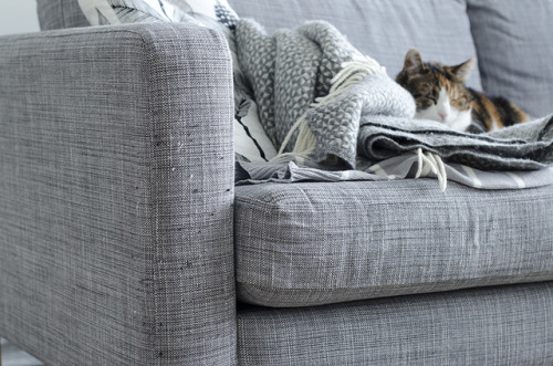 valscrapbook:  untitled by KatjaR. on Flickr.