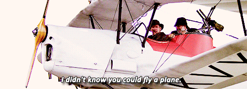 peregrin-fool-of-a-took:is this how Harrison Ford got in that plane accident?