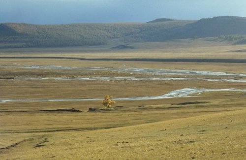 Central Asian steppe grasslandsThe steppes of Central Asia stretch almost a third of the way around 