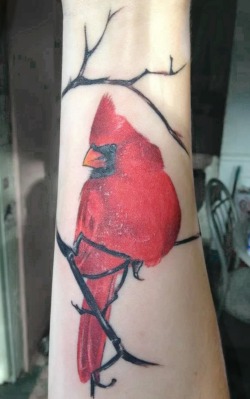 fuckyeahtattoos:  Done by Jay McKay at Unique Ink Custom Tattooing in Barrie, Ontario The cardinal represents my strength through all the trials in my life and my ability to overcome the long, hard winters of my past. holdfaster.tumblr.com    