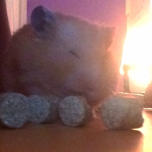 Shine bright like a diamond 💎🐹 #kdone porn pictures