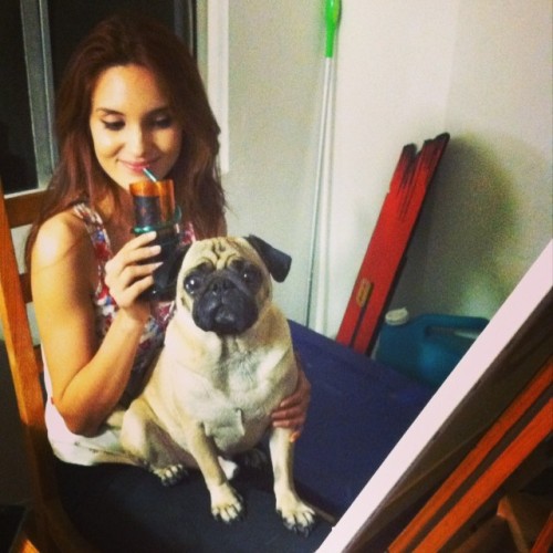 Gizmo pulls only the most talented beautiful women ! @michelle_lorain #pug #puglife #pugsofinstagram