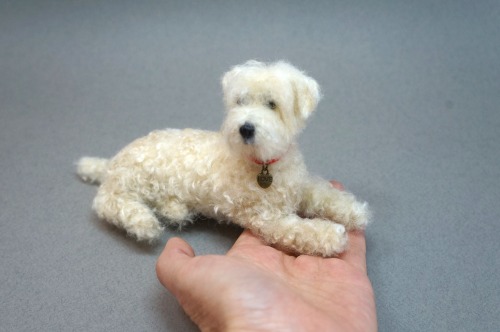  A needle felted Wheaten Terrier.  Have a peaceful Sunday!  #wheatenterrier 