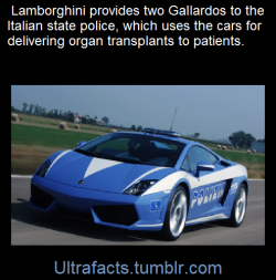 ultrafacts:  The luggage compartment in the front of the vehicle is equipped with a specialized refrigeration system for safe transportation of donor organs. For extreme emergencies, there is also a defibrillator used to restore a normal heart rhythm