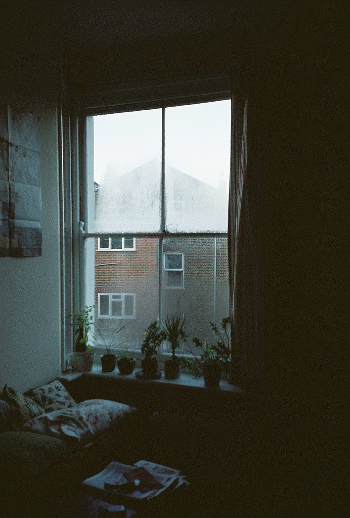 b3ndy:  by shiri lee webb 
