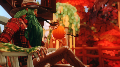 Hawthorn:What Would You Do When That Event Was Over?Pumpkin: Ahh, I'm Thinking About Going Travel To