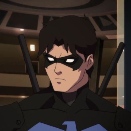 Richard John (dick) Grayson (young Justice)