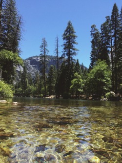 eartheld:  eartheld:  lunebrille:  yungshiiva:  Yosemite National Park  So jealous  mostly nature  mostly nature