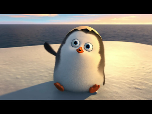 HAPPY KYUNGSOO PENGUIN DAY