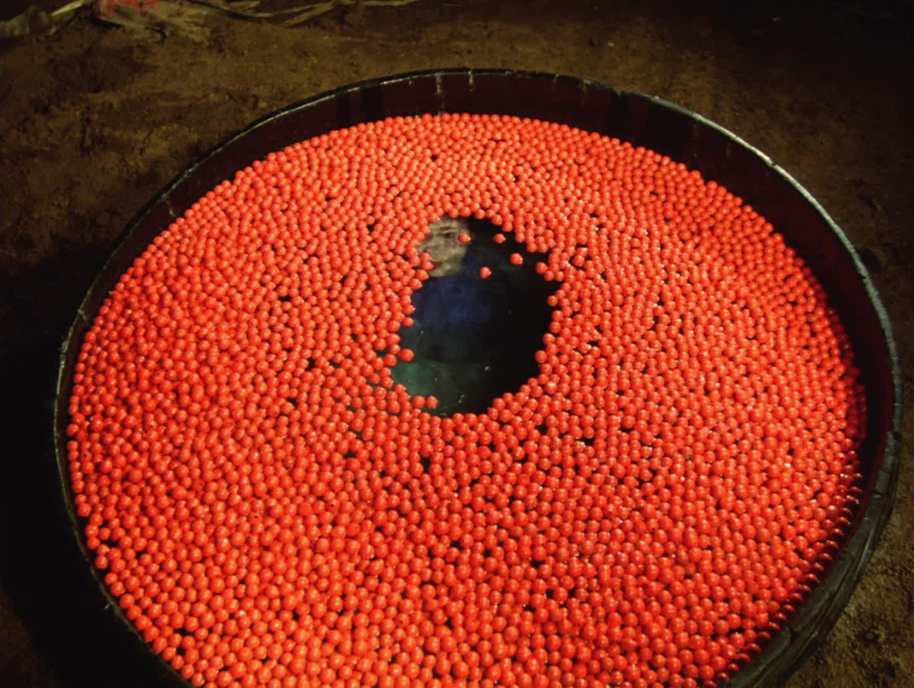 ozu-teapot:  Kagerô-za | Seijun Suzuki | 1981 Michiyo Ohkusu 