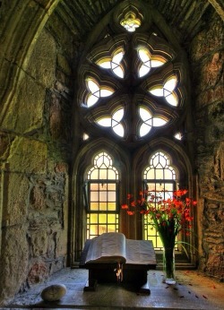 through-the-thorns-to-the-stars:Window Beauty, Iona Island, Scotland, at Blue Pueblo