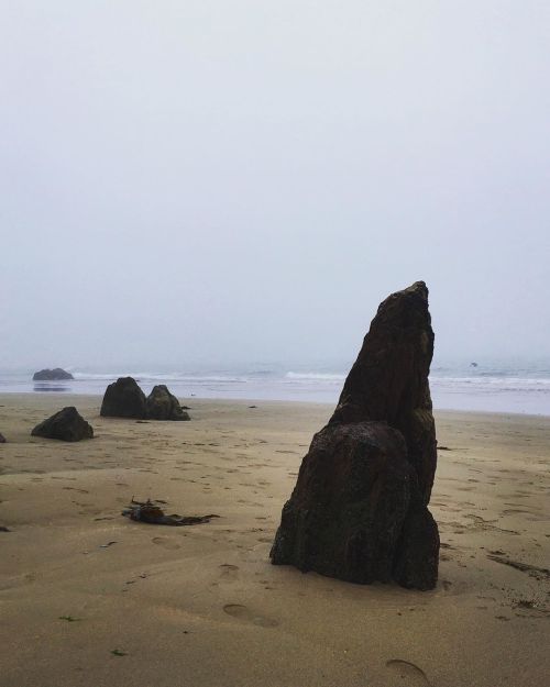 Some more pics from the weekend. Beach mist #beach #coast #mist #seafog #rocks #sea #nature #nature