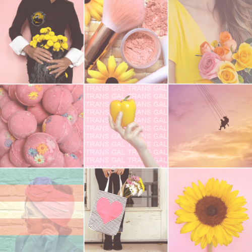 plentymood: Hufflepuff trans girl moodboard  (img source: x) Like my moodboards? Request One / 