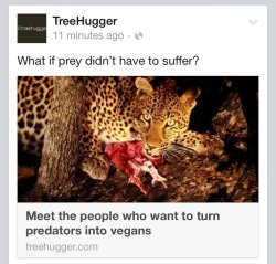 sodomymcscurvylegs:starkillerrx:minority-privilege:shybutnotsilent:meme-lord-mcgee:arlluk:there are actual people out there who want to genetically modify carnivores so they no longer eat other animals im going to fly away from this planet goodbyeyeah