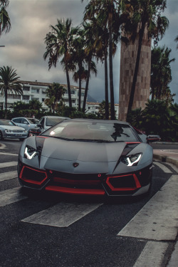 mistergoodlife:  Aventador • Mr. Goodlife •