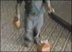 ı̶̆̑ͪ̋͗̑̉̏̾͐ͣͤ̆͊̿̎ͮͬ̚͏̸̢̥̮̤͉̱̬̺͕