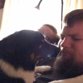 Pipping kept getting jealous ( I think) when we cuddled and would come lick our faces