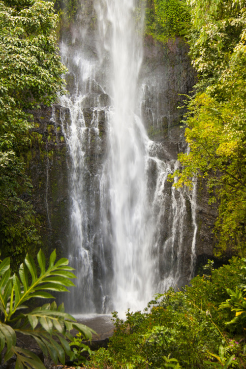 intothegreatunknown: Waterfall on the way to Hana, Maui