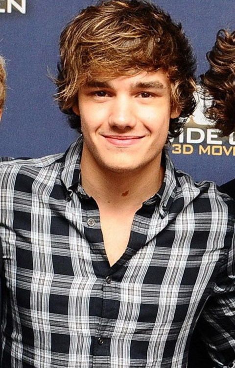 fuckboyharry:fuckboyharry:CURLY LIAM IS SO UNDERAPPRECIATE! KICK MY ASSWow. Amazing.Curly Liam Supre