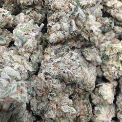 weedporndaily:  Red Square OG by @russianassassinboyz