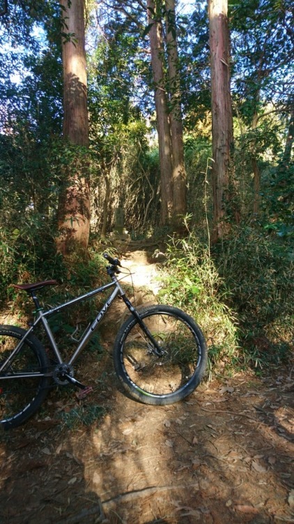 krs955:trail ride, and satoyama work.