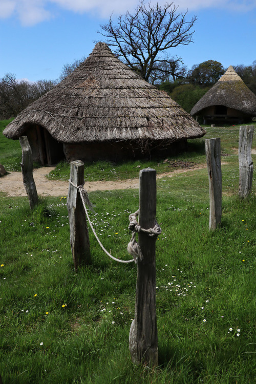 Castell Henllys Iron Age Settlement, Pembrokeshire, South Wales, 5.5.18.Reconstructed roundhouse com