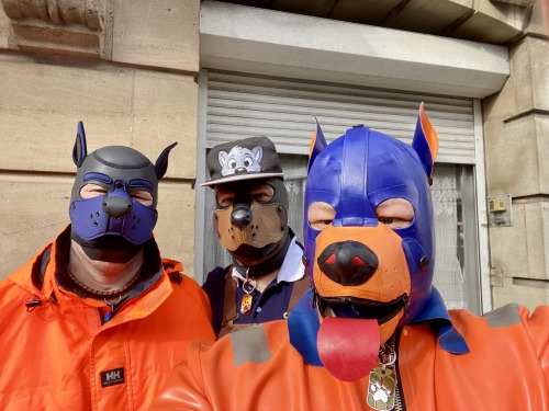 Puppy Walk At Darklands With @PupRufusAD