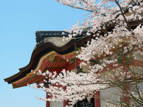 桜 - 清水寺 ／ Kiyomizu-dera Temple by Active-U on Flickr.