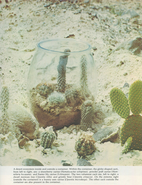 The World of Terrariums, Charles L. Wilson, 1975