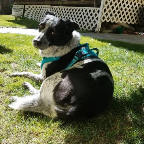 She’s lying in the sun for all of two seconds she normally avoids being in the sun she much pr