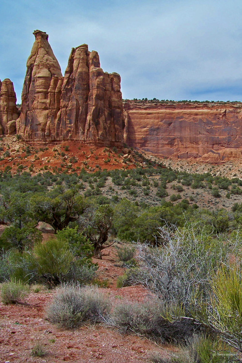 Red Sandstone Spires and Desert Shrubs: Colorado National Monument, Colorado, USAby riverwindphotogr