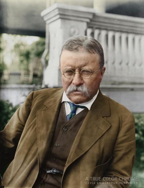 historylover1230:Theodore Roosevelt c. 1916, at his home, Sagamore Hill, Oyster Bay, NY