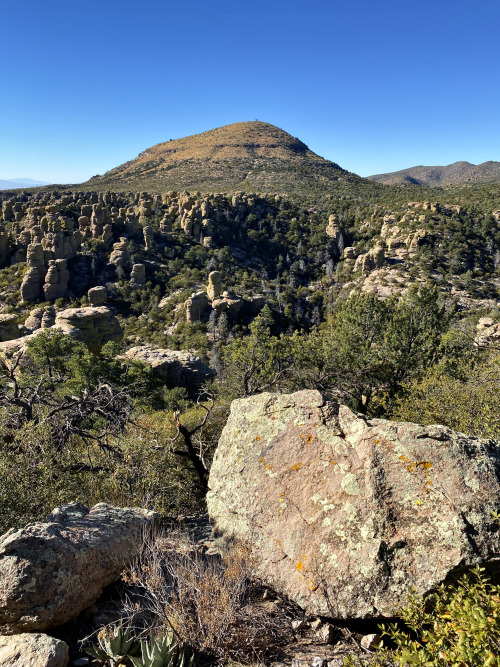 thelostcanyon: View toward Sugarloaf Mountain from Massai Point, Chiricahua National Monument, Cochi