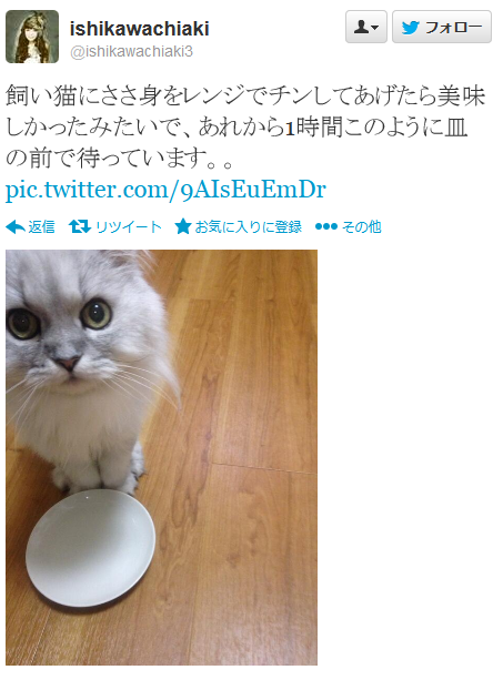 highlandvalley:  Twitter / ishikawachiaki3: 飼い猫にささ身をレンジでチンしてあげたら美味しかったみたいで …