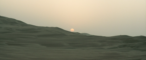 389: Dune (2021)Dir. Denis VilleneuveDP Greig Fraser