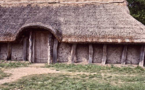 Langt hus med muddervægge og stråtækt tag, Moesgaard Museum, Århus, 1981.