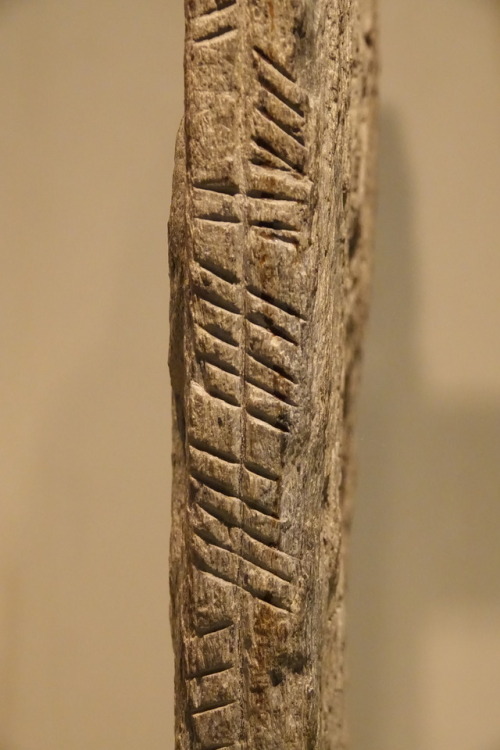 Carved Ogham Inscription on the edges of a carved Pictish and early Christian stone, national Museum