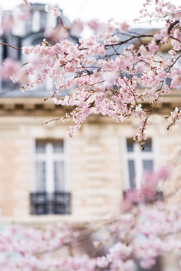 indentazionedellapelle:  natureac:  This blog will make you feel at peace  xx 