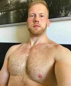 reds-and-gingers:  http://reds-and-gingers.tumblr.com