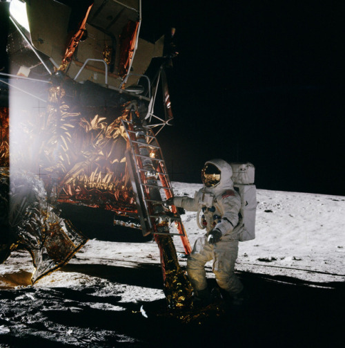 humanoidhistory: November 19, 1969 – Apollo 12 astronaut Alan Bean climbs down from the lunar lander