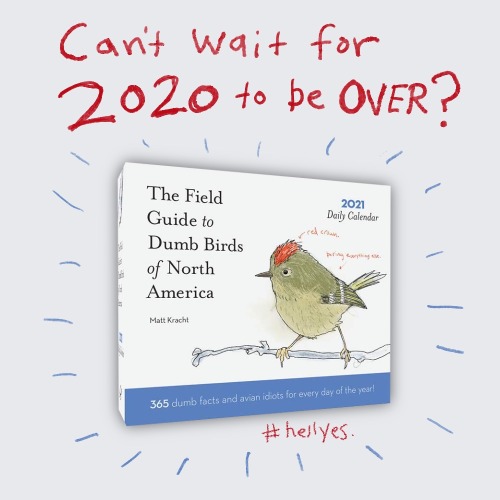 Start enjoying 2021 now! Order the Dumb Birds of North America 2021 Daily Calendar!You can wait to e
