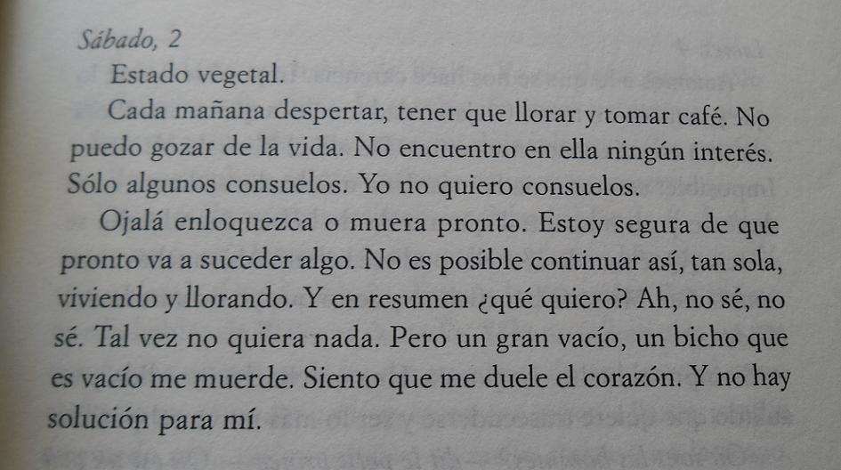 — Alejandra Pizarnik, Diarios