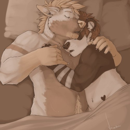 Sex funboxofknots:   Sleeping Furs on request pictures