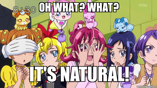 PreCure Memes â€” Precure isn't porn people! Unless it's hentai.