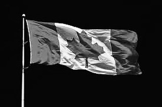 heathergraves:  There’s absolutely nothing I can say about the election results. As I am absolutely speechless. All I will say is if I could, I would accept all of you who are in danger into my home. Though we’re not 100% safe here in Canada by any