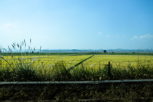 DMZ - South Korea / North Korea border