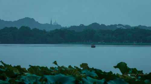 West Lake In Blue Hour By 影像视觉杨 