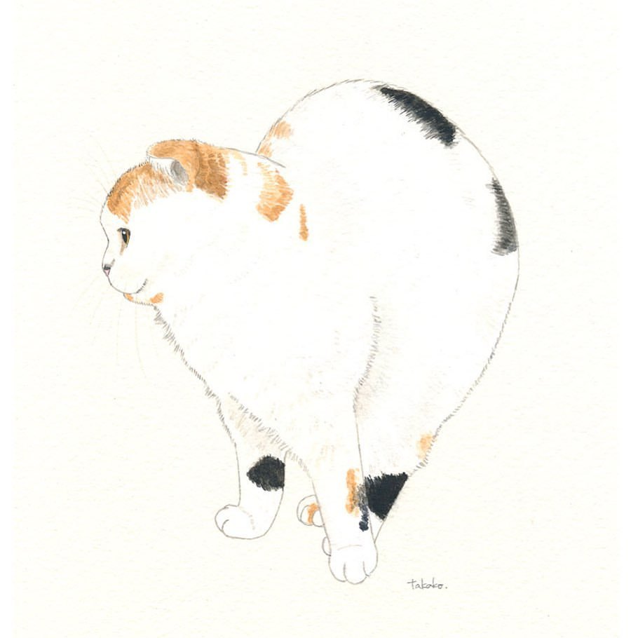 Takako Ide Illustration Takako Ide Illustration